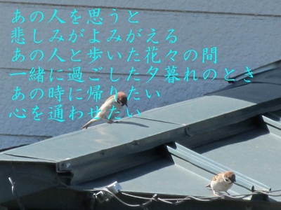 失ってしまったもの(未完成） 鳥-3 (640x480).jpg