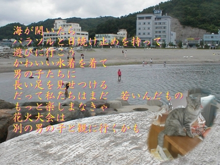 猫のルナ 夏 - コピー.jpg